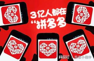 拼多多商家最新爆料,揭秘平台内幕与商家生存现状