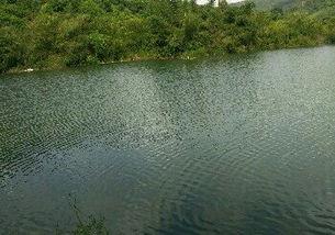 东风水库爆料视频大全,揭秘水库背后的故事与真相